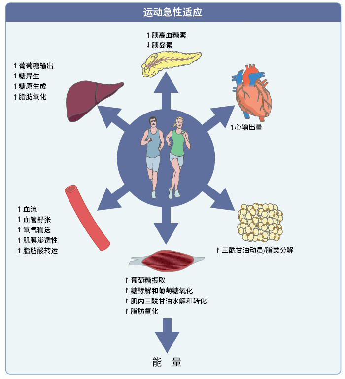 微信图片_20230906164348_1.png