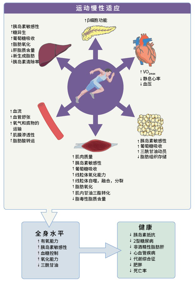 微信图片_20230907105400.png